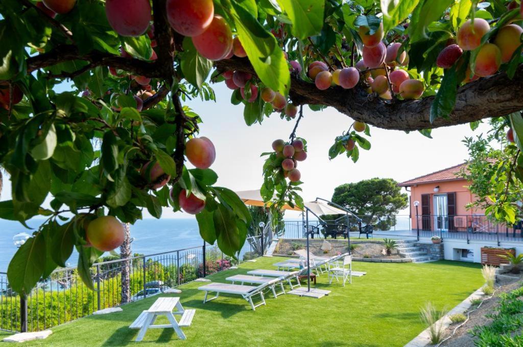 Villa Matilde Sanremo Dış mekan fotoğraf